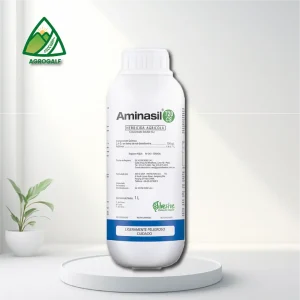 aminasil