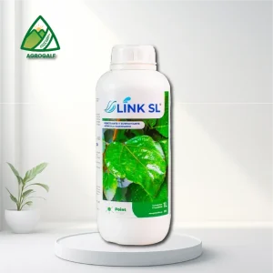 link sl