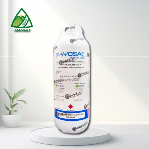 royasac