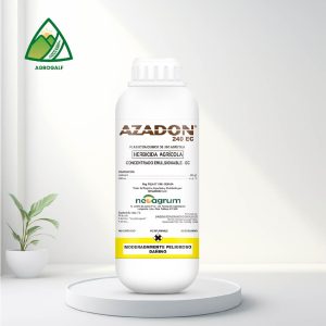 azadon