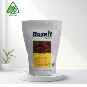 bozelt
