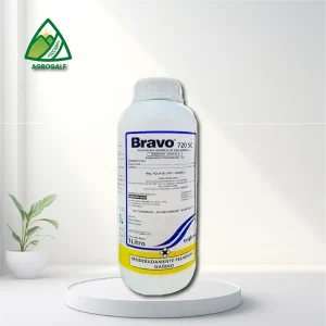 bravo