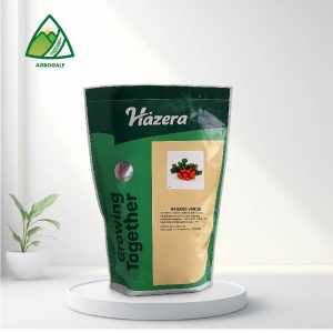hazera