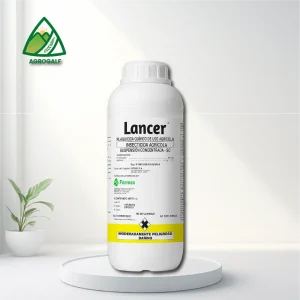 lancer