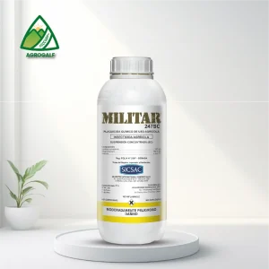 militar